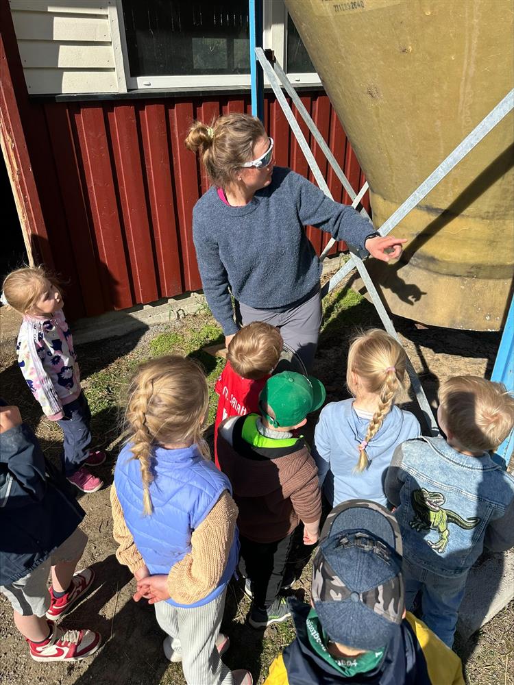 På bildet ser du barn ved Fagernes barnehage se på diverse utstyr på en gård - Klikk for stort bilde