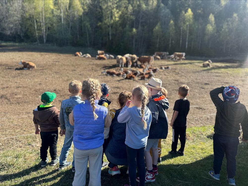 På bildet ser du barn ved Fagernes barnehage se på diverse utstyr på en gård - Klikk for stort bilde