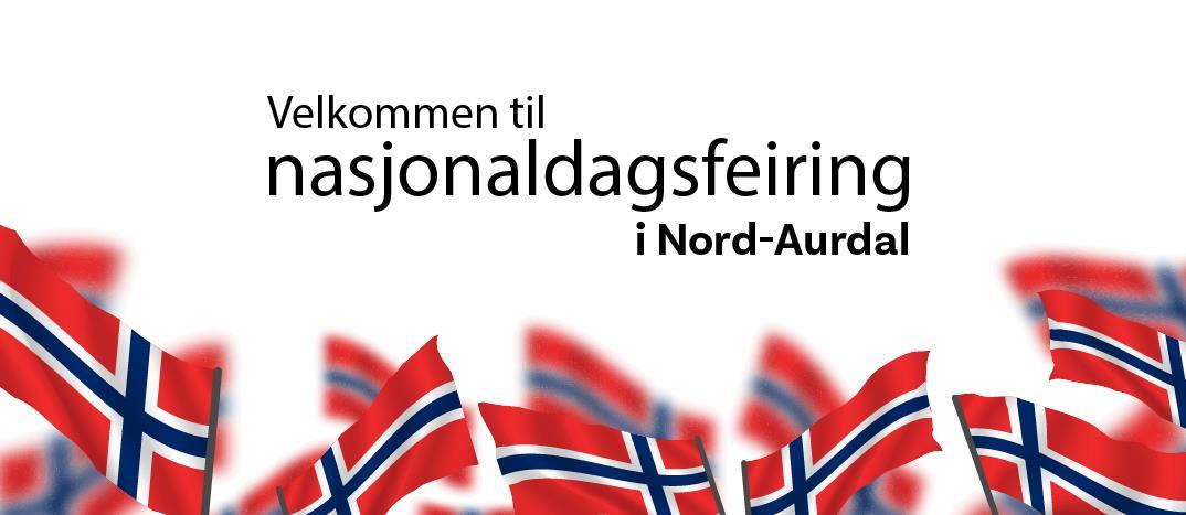 Norske flagg som vaier - Klikk for stort bilde