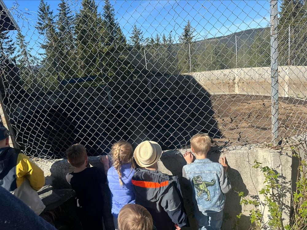 På bildet ser du barn ved Fagernes barnehage se på diverse utstyr på en gård - Klikk for stort bilde