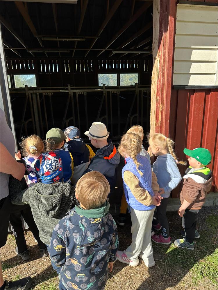 På bildet ser du barn ved Fagernes barnehage se på diverse utstyr på en gård - Klikk for stort bilde